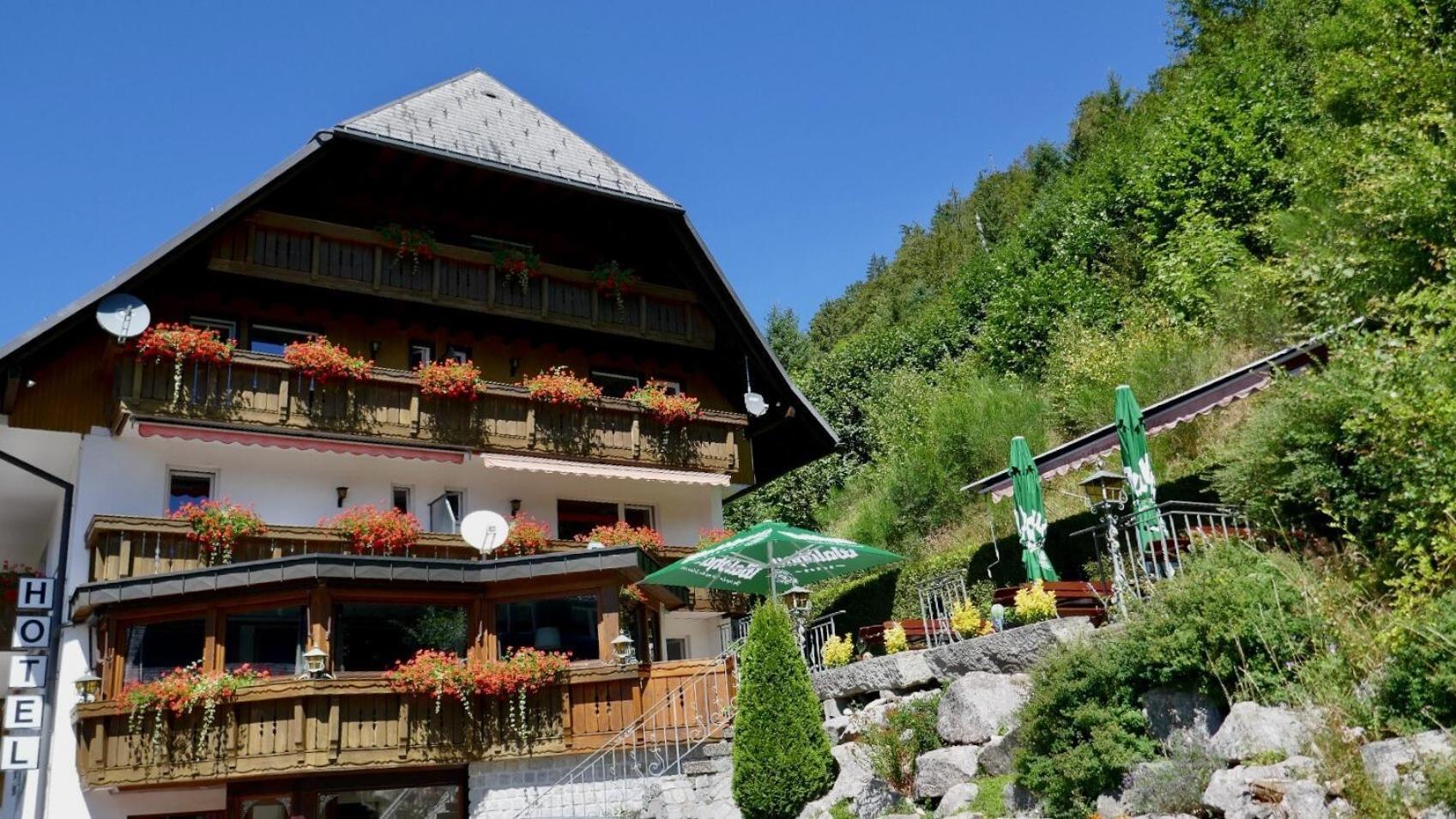 Hotel Silberfelsen Menzenschwand-Hinterdorf 외부 사진